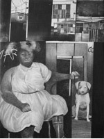 Mujer y su Perro, Hugo Crosthwaite