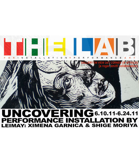 Hugo Crosthwaite | Uncovering @ The LAB Gallery, New York City